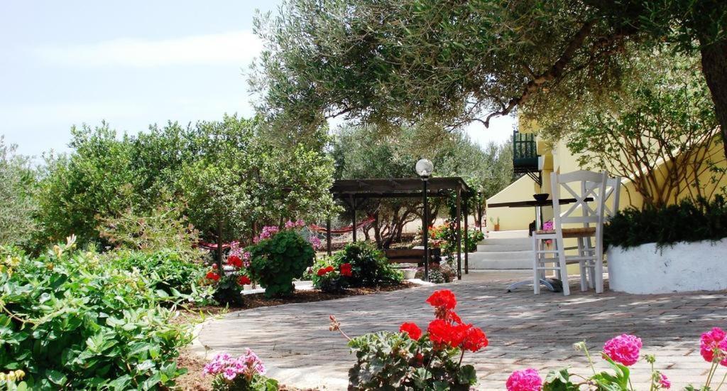 Katerina Charming Place Amoudara  Esterno foto