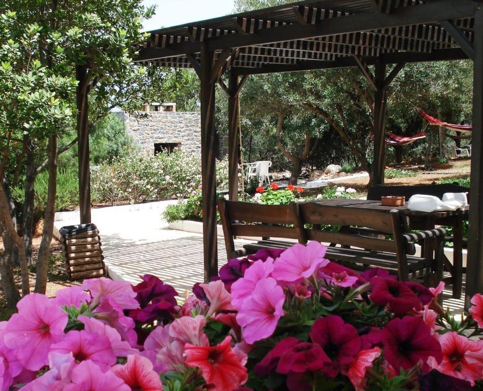 Katerina Charming Place Amoudara  Esterno foto
